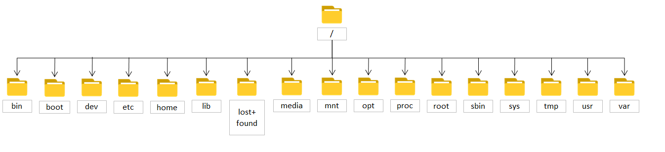 Estructura del directorio raíz
